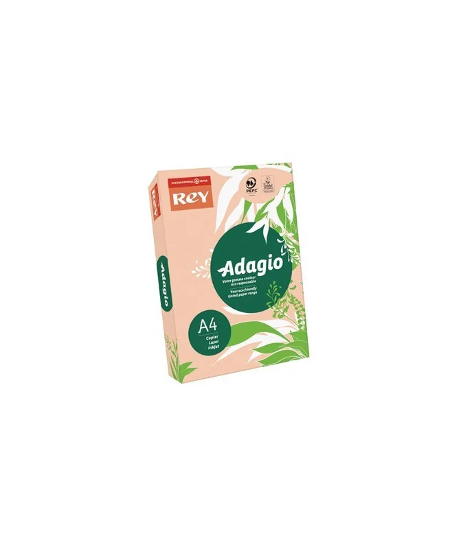 Resma 500 Folhas Papel Fotocópia Adagio A4 80g Intenso 55 Pessego