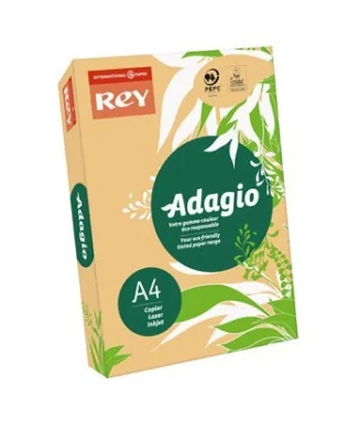 Resma 500 Folhas Papel Fotocópia Adagio A4 80g Intenso 60 Damasco